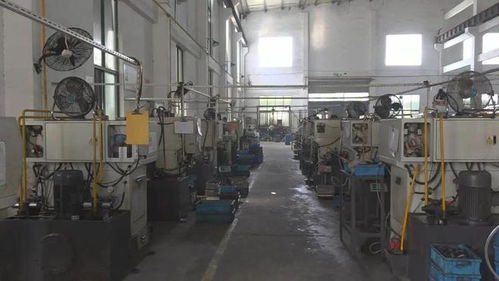 全球市場占有率70 蓮都這家企業(yè)磨出 馳 向世界的 輪子